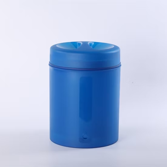 Big Blue New Design 20L Wasserfilter für direktes Trinkwasser mit 2 Keramik-Kohlenstoffstab-Verbundfilterelementen
